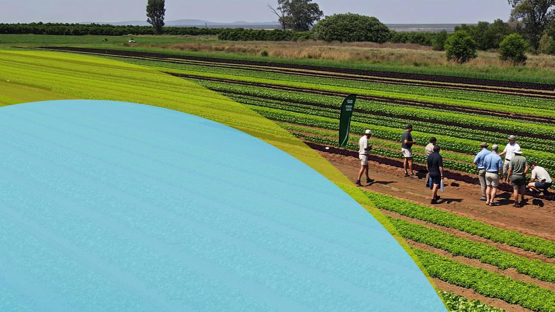 Our growers