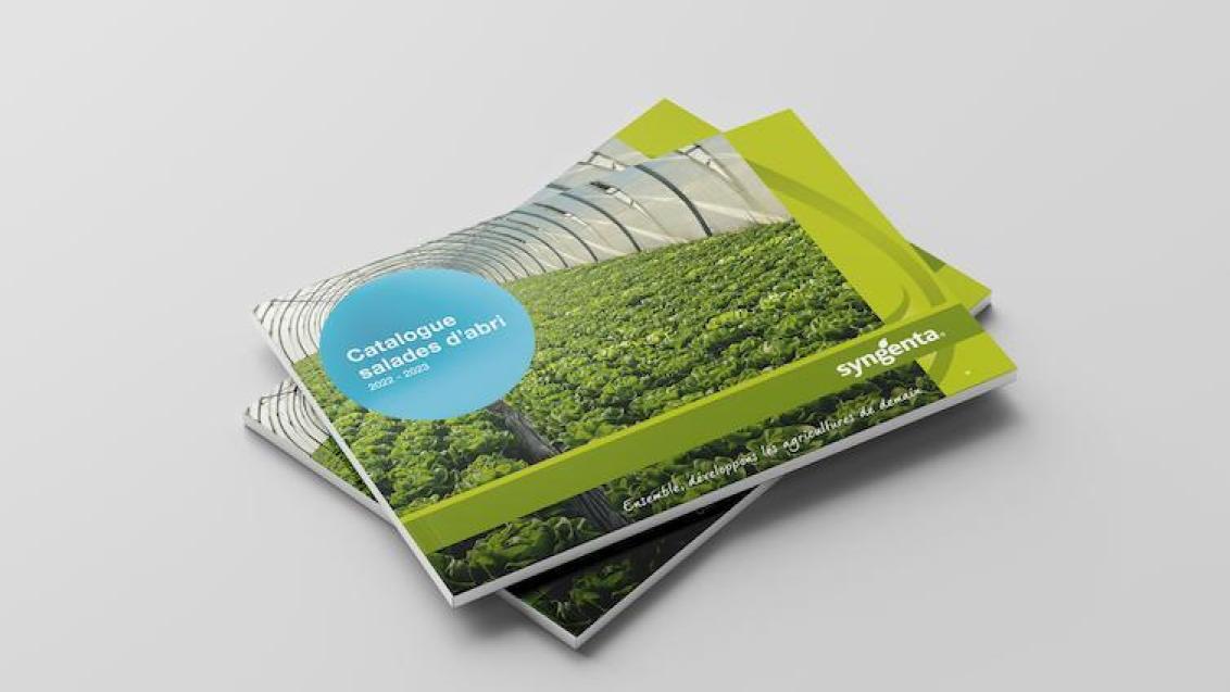 mockup salade d'abri