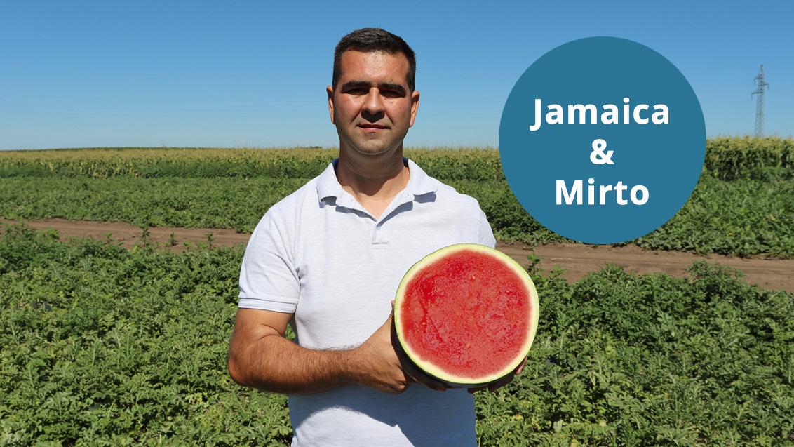 Jamaica és Mirto - Az ideális kapcsolat