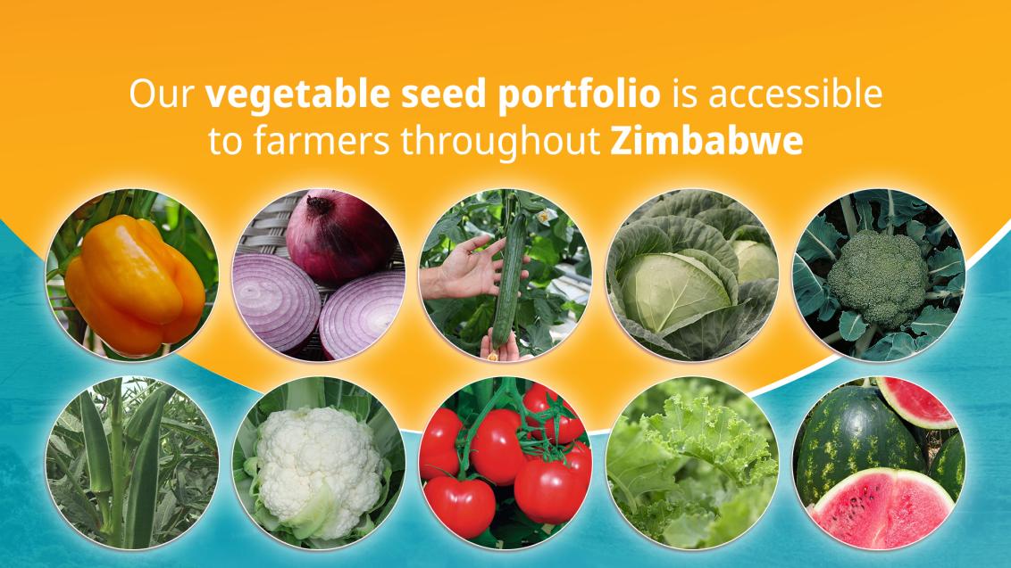 portfolio_zimbabwe