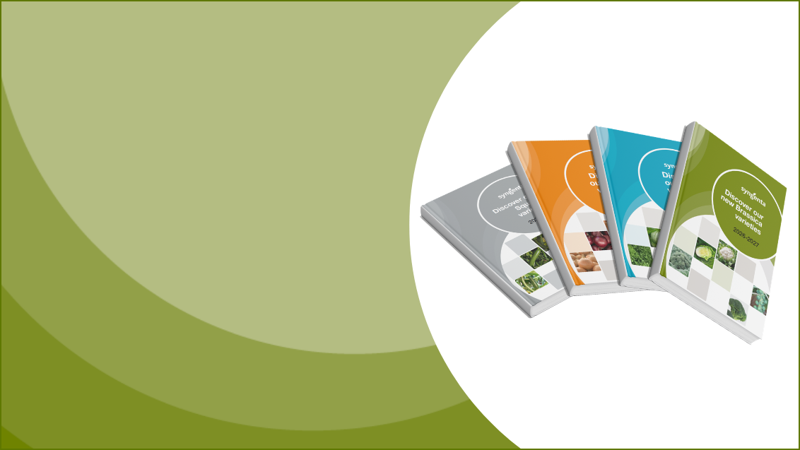 UK Veg Brochures 2026
