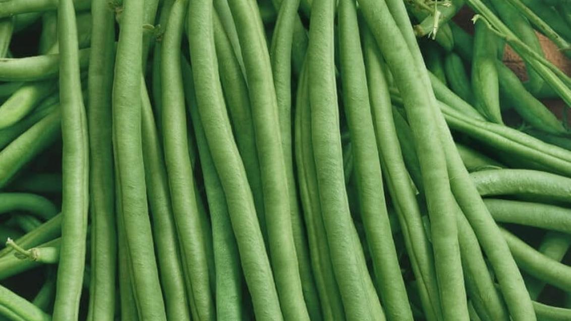 beans