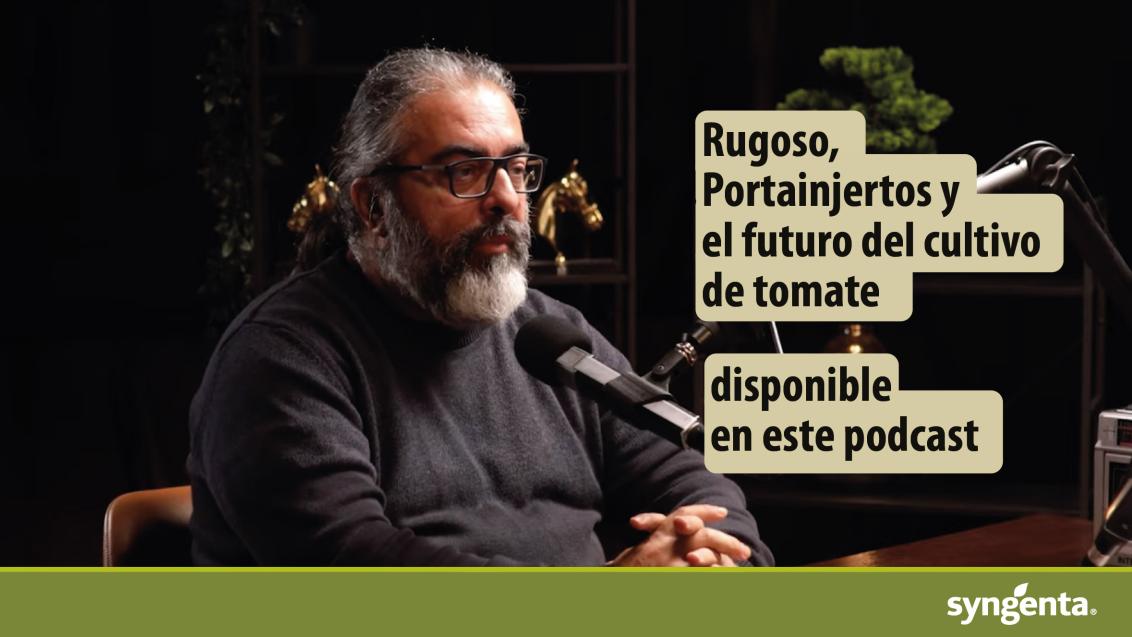 Rafael Salinas, de Syngenta, protagoniza un podcast  sobre  la evolución y los desafíos del tomate en Almería