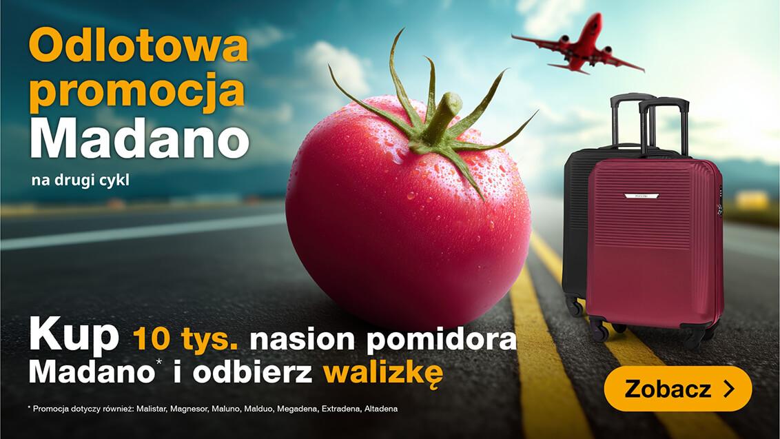 Odlotowa promocja z Madano