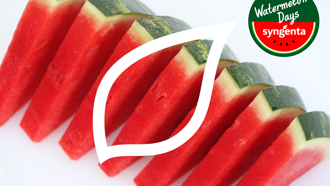 watermelon days