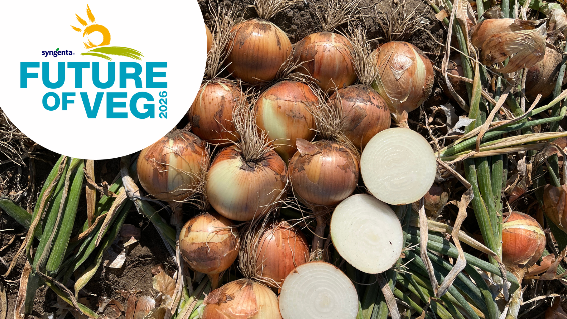 Onions in a field with Future of Veg logo