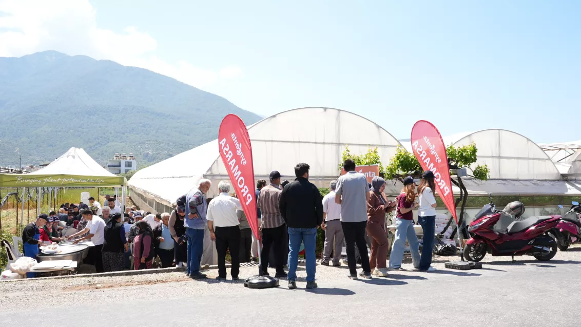 Promarsa ile Erken Bahar Tane (Beef) Domates Segmentinde Güçlü Performans