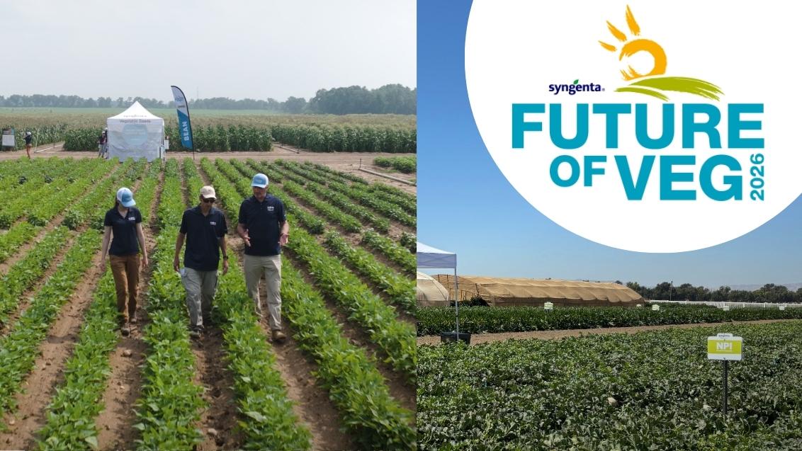 Future of Veg 2026 logo and vegetable farm fields with people walking in field
