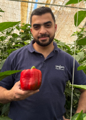 Man holding a red bell pepper in a greenhouse among green plants