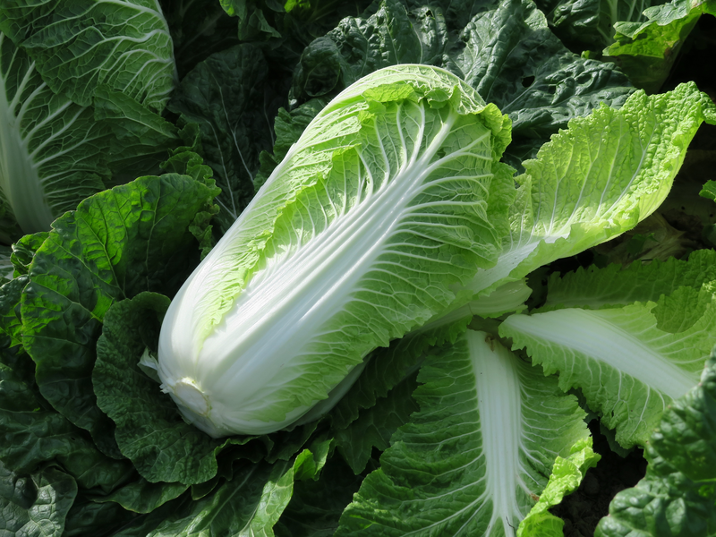 webimage-Marrio_FOI_2021_04.png