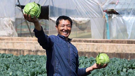 grower
