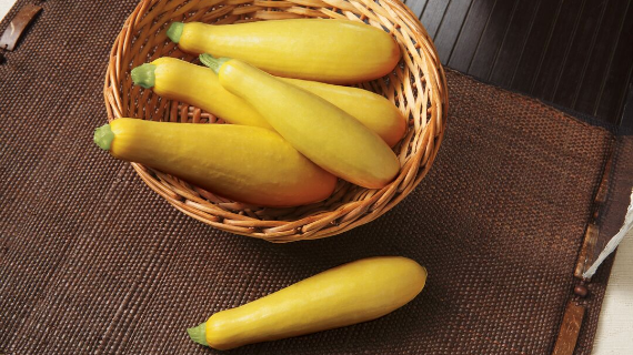 Squash