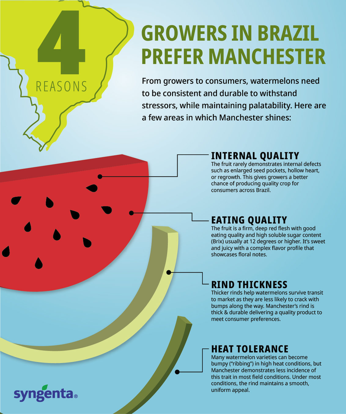 Watermelon Manchester Infographic