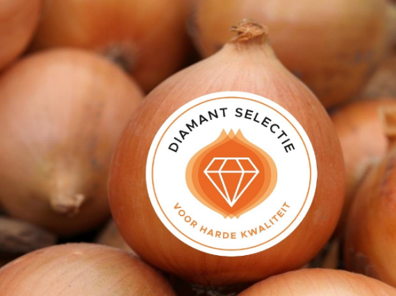 Onion Diamant