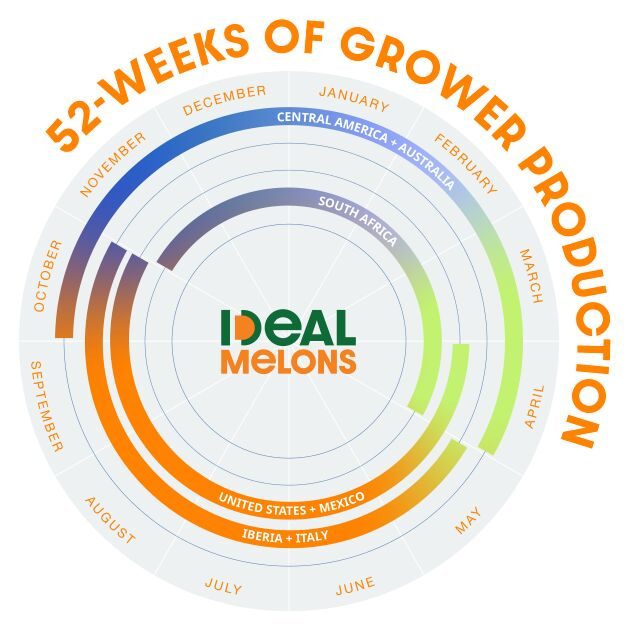 52 Weeks of Cantaloupe Production with IDEAL Melons