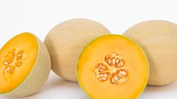 Melon Teaser