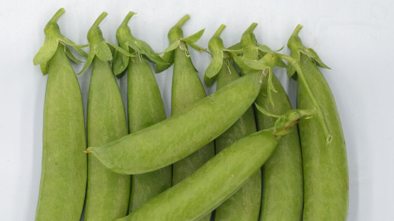 beans