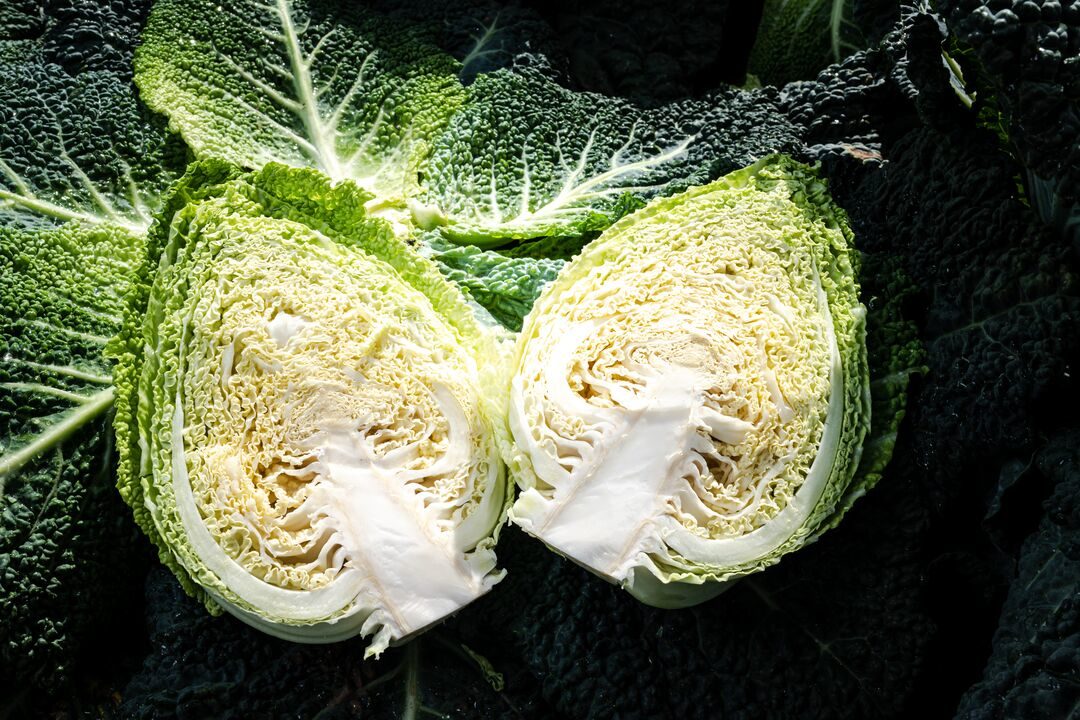 Pointed Savoy Cabbage Interior Cross Section