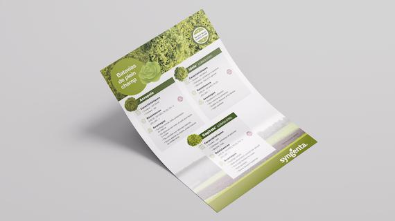 Mockup batavias