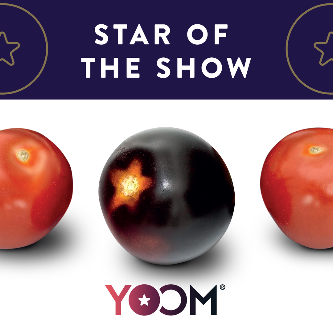 Star of the Show YOOM