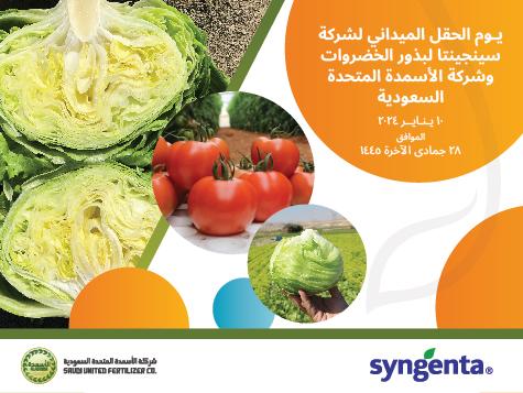 نتشرف بدعوتكم لحضور اليوم الحقلي لبذور خضروات شركة سينجينتا في المملكة العربية السعودية مع وكيلها المعتمد شركه الأسمدة المتحدة السعودية حيث سنقدم لكم أحدث أصناف بذور الخضروات المخصصة للمزارع السعودي والأجابه على استفساراتكم