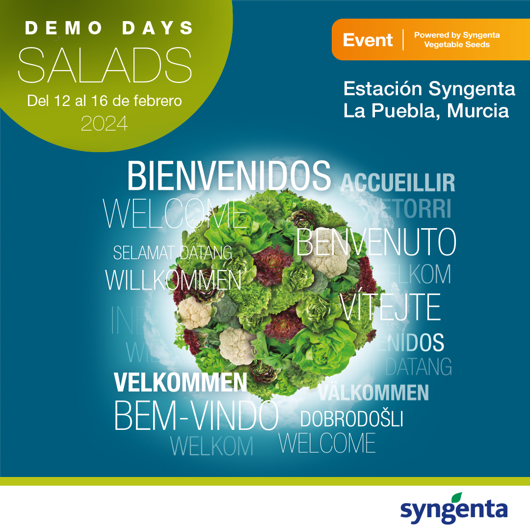 Demo Days Salads 2024