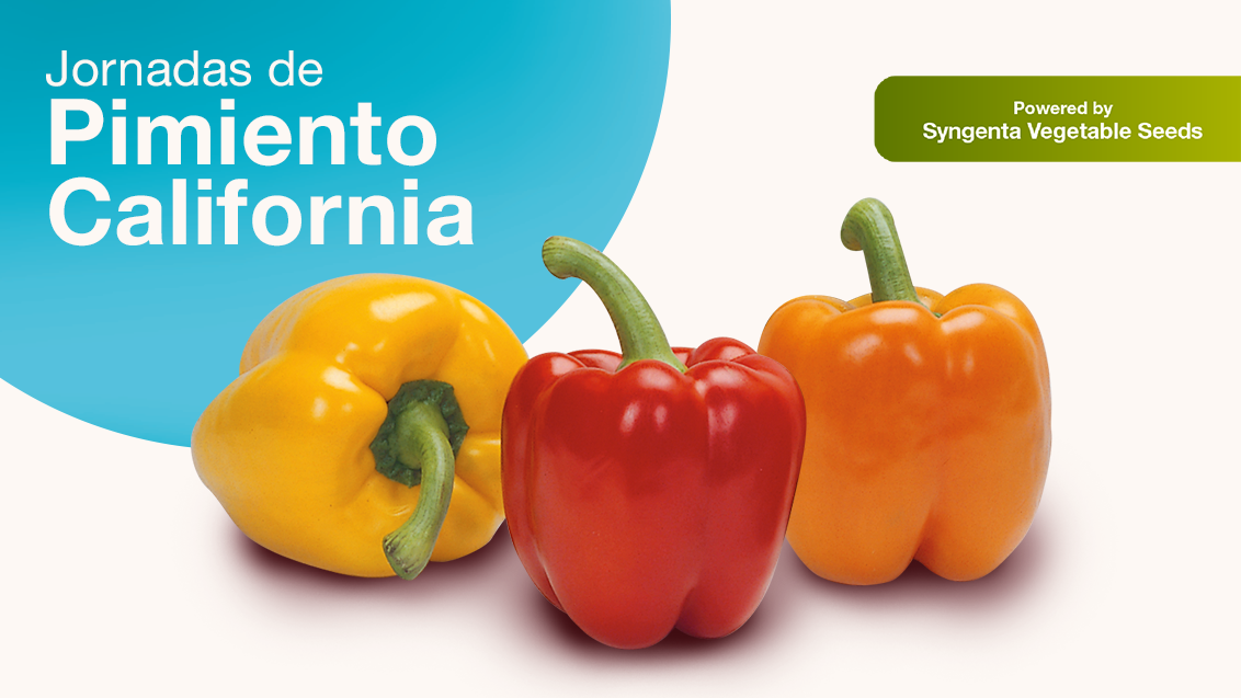 Jornadas de Pimiento California