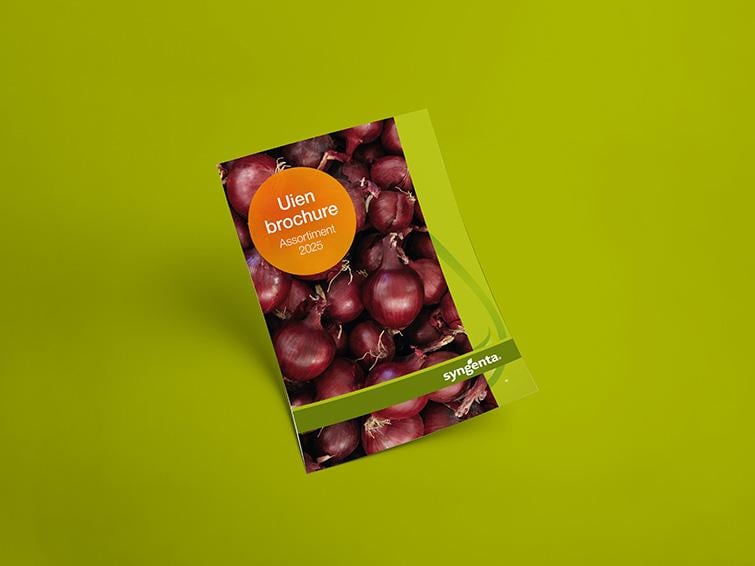 755x566_bnl_uienbrochure_2025