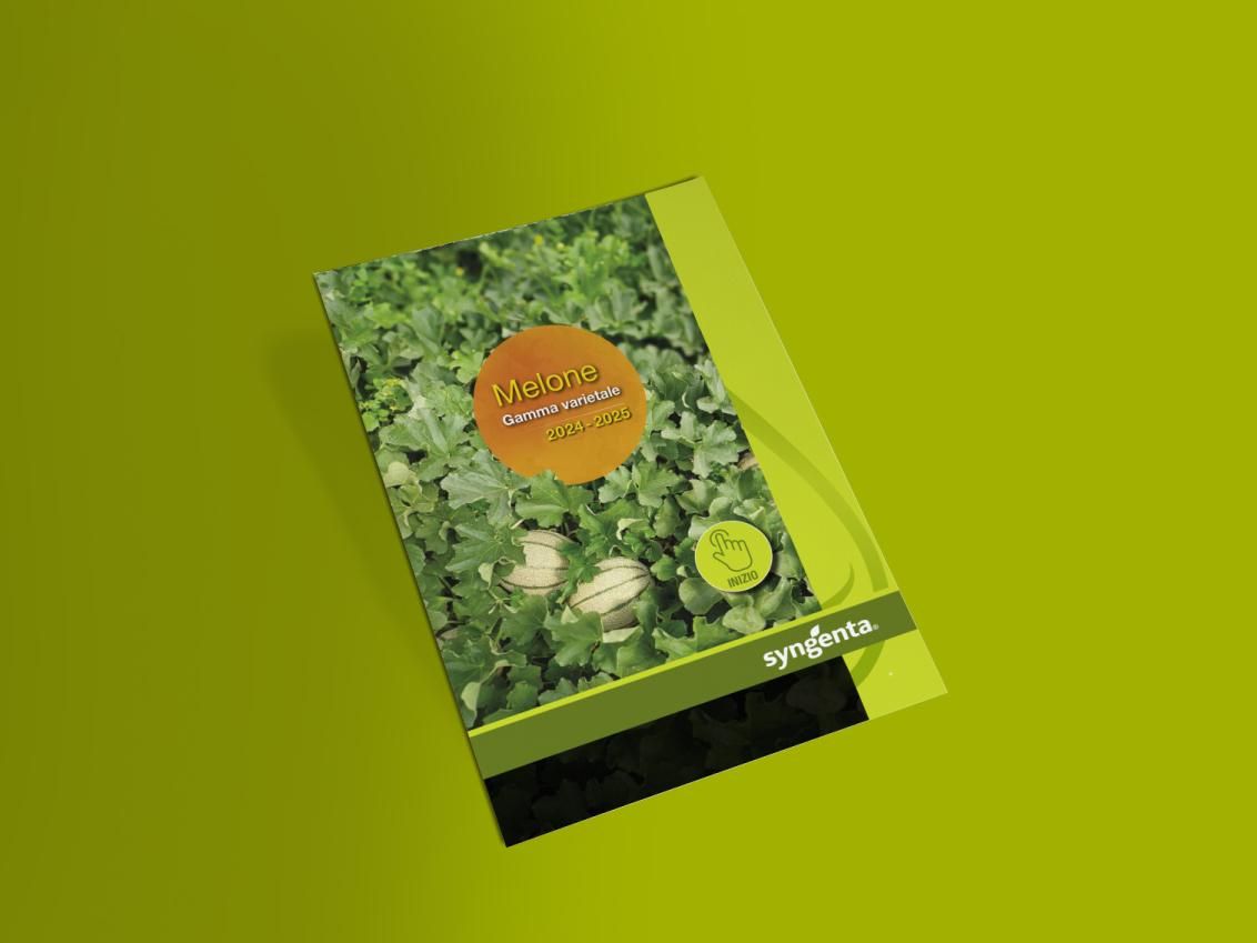 Brochure Linea Melone anteprima