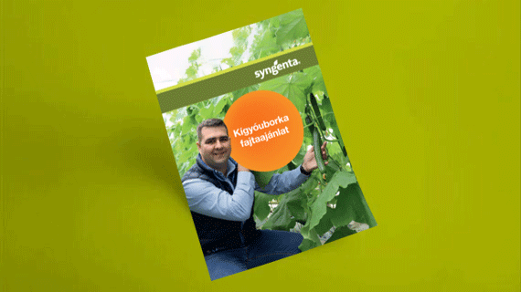 Kígyóuborka fajtaajánlat