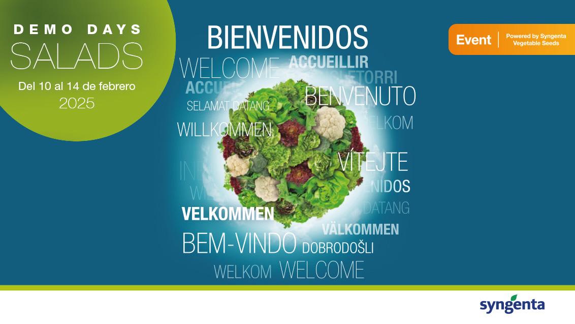 Demo Days Salads 2025