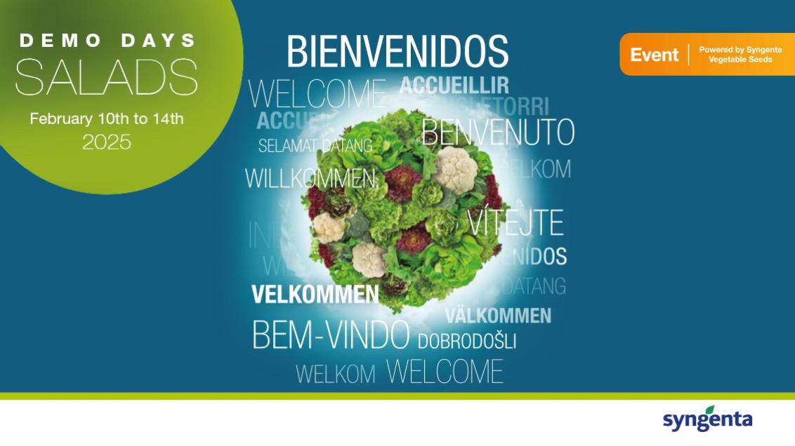 Demo Days Salads 2025