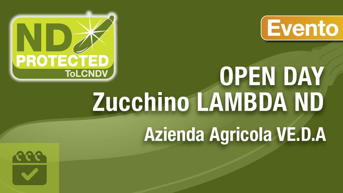 LAMBDA ND-SQUASH - SYNGENTA