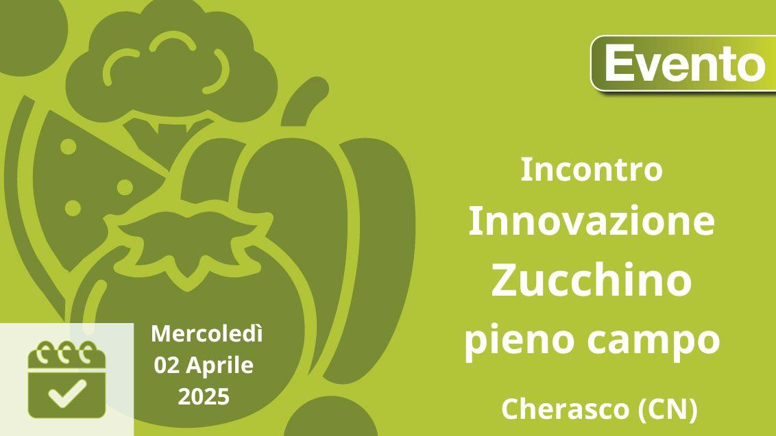 Incontro-Zucchino-Piemonte-Syngenta 