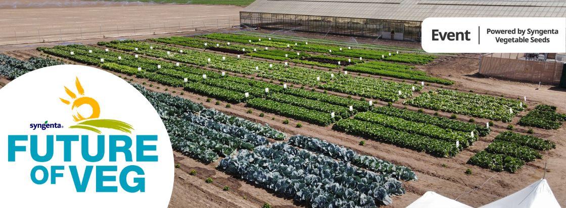future_of_veg_salinas_banner_ca