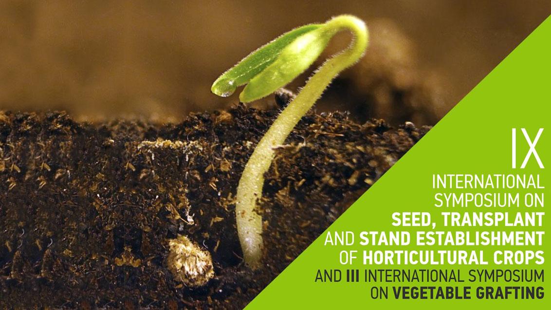 ΙΧ International Symposium on Seed, Transplant of Horticultural Crops and Vegetable Grafting