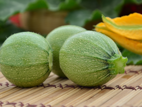 calabaza_480x360.png