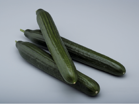 Pepino
