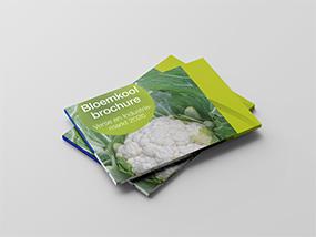 285x214_bnl_2026_bloemkool