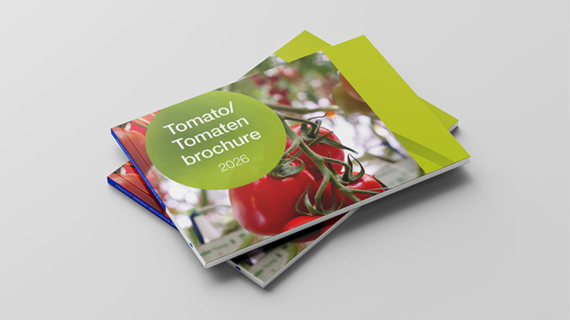Tomato Brochure 2026