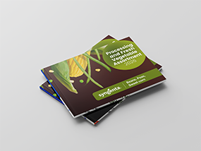 lsv_brochure_285x214