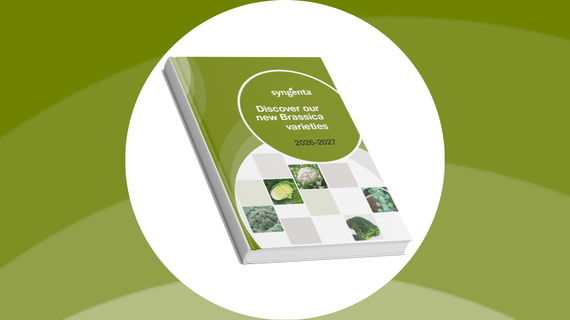 UK Brassica Brochure 2026