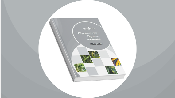 Squash Brochure Image
