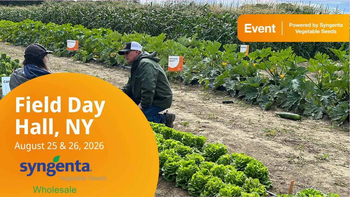 Hall NY Field Day