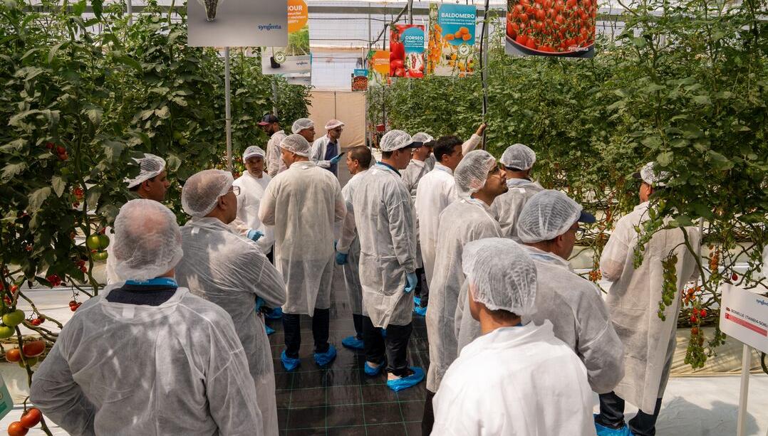 tomato_excellence_event