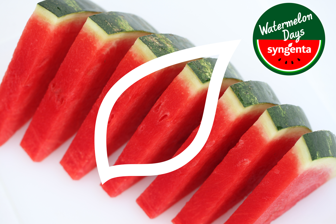 watermelon days