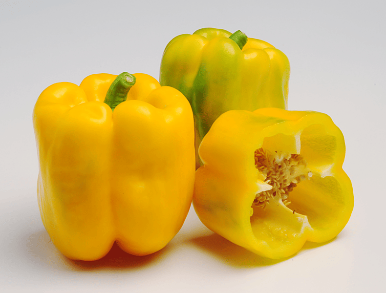 ADMIRAL - Variety Pepper | Syngenta Vegetable Seeds Kenya