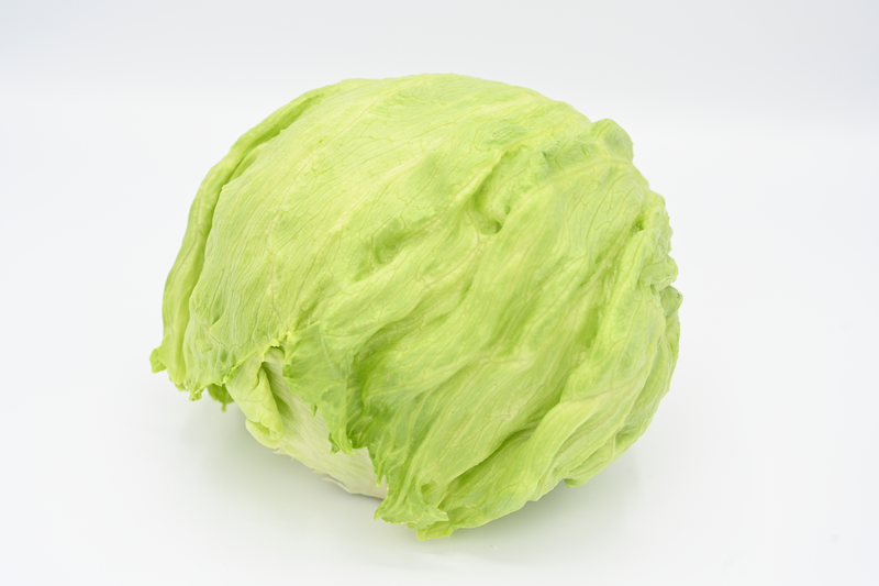 Left Less Varied REPUBLIC - Variety Lettuce | Syngenta Vegetable Seeds US