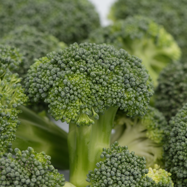 Graines De Brocoli Bio ZenGreens - Variété Ramoso Calabrese, Facile à Cultiver En Jardin Ou Balcon - 8