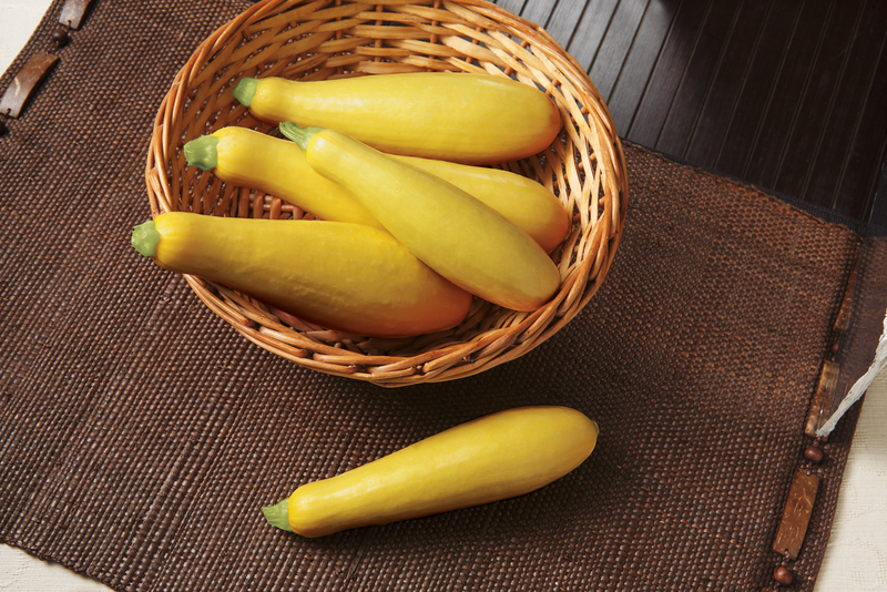 GOLDPRIZE - Variety Squash | Syngenta Vegetable Seeds US